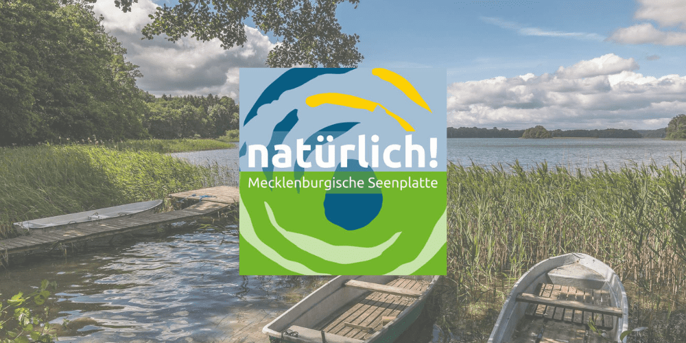 Landkreis Mecklenburgische Seenplatte